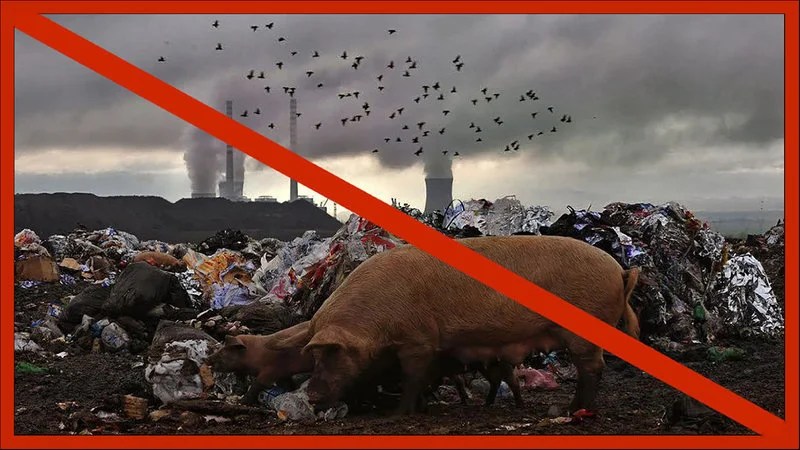 «Цена правды: как в России карают экологов, историков и археологов за документирование катастроф и&nbsp;репрессий»