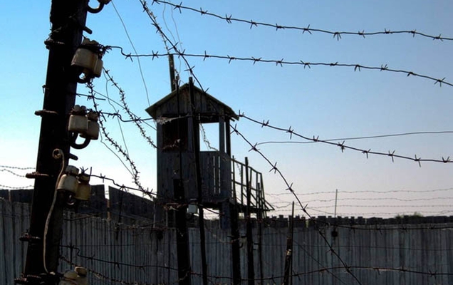 Политические репрессии в России: обзор и обновлённые тренды (2024–2025)